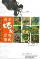 (image for) A Photographic Guide to HongKong True Bugs