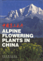(image for) Alpine Flowering Plants in China
