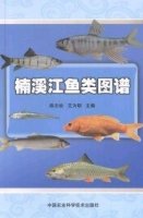 (image for) Atlas of Fishes in Nanxi River
