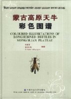 (image for) Coloured Illustrations of Longhorned Beetles in Mongolian Plateau