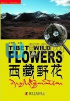(image for) Tibet Wild Flowers