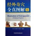 (image for) Illustration of Extrapoints(Chinese-English)