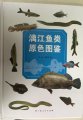 (image for) Color Atlas of Fishes from Lijiang River