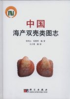 (image for) An Illustrated Bivalvia Mollusca Fauna of China Seas (out of print)
