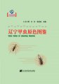 (image for) Color Atlas of Liaoning Beetles