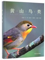 (image for) Birds in Huangshan