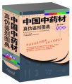 (image for) Zhong Guo Zhong Yao Cai Zhen Wei Jian Bie Tu Diann (Third Edition, 2011) (4 volumes)