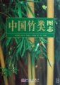 (image for) Atlas of Chinese Bamboo (Iconographia Bambusoidearum Sinicarum)