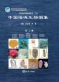 (image for) An Illustrated Guide To Species in China’s Seas(Vol.3) - Animalia (1): Porifera Cnidaria Plathyelminthes Nemertinea Nematoda; Acanthocephala Rotifera Gastrotricha Kinorhyncha Priapulida Annelida; - Sipuncula Echiura