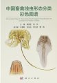 (image for) Chromatic Atlas of Nematode Morphological Classification for Livestock & Poultry in China