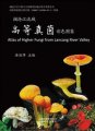 (image for) Atlas of Higher Fungi from Lancang River Valley