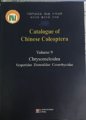 (image for) Catalogu of Chinese Caleoptero volume 19 Chrksonmelaidea