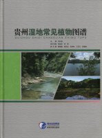 (image for) Atlas of Wetland Common Plants in Guizhou Province