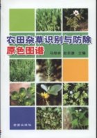 (image for) The Coloured Atlas of Recognition and Control of Farmland weeds(Nongtian Zacao Shibie Yu Fangchu Yuanse Tupu)