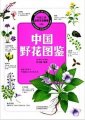 (image for) Atlas of Wild Flowers of China (Beauty of China-The Natural Ecological View)