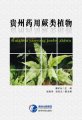 (image for) Medicinal Ferns of Guizhou (Guizhou Yaoyong Juelei Zhiwu)