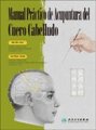 (image for) A Practical Handbook on Scalp Acupuncture (Spanish Edition)