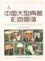 (image for) Color Atlas of Large Fungus in China