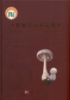 (image for) Atlas of the Chinese Species of Amanitaceae