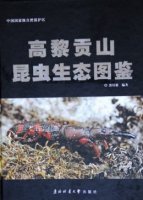 (image for) Ecological Photography Handbook of Insects in Gaoligongshan