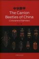 (image for) The Carrion Beetles of China