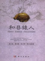 (image for) Homo Erectus Hexianensis