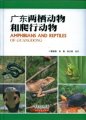 (image for) Amphibians and Reptiles of Guangdong