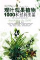 (image for) Atlas of Ornamental Fruit and Foliage Plants 1000 Species
