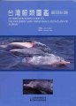 (image for) An Identification Guide to the Dolphins and Other Small Cetaceans of Taiwan