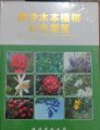 (image for) Color Atlas of Woody Plant in Tengchong