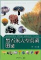 (image for) Atlas of Macrofungi in Heishiding(Heshiding Daxing Zhenjun Tujian)