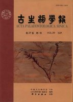 (image for) Acta Palaeontologica Sinica (vol.39) Sup.-Contributions to the Sixth Conference of International Organization of Palaeobotany (IOPC-VI)