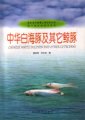 (image for) Chinese white Dolphin and Other Cetaceans