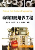 (image for) Animal Cell Cluture Engineering