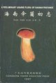 (image for) A Preliminary Agaric Flora of Hainan Province (second hand)