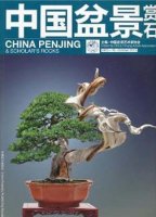 (image for) China Penjing & Scholar's Rocks(2012.10)