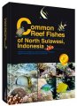 (image for) Common Reef Fishes of North Sulawesi,Indonesia