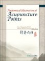 (image for) Anatomical Illustration of Acupuncture Point