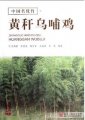 (image for) An Excellent Bamboo Species: Huang Gan Wu Bu Ji