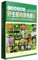 (image for) Mount Yiwulv Area Color Illustrations of Wild Plants (With CD-ROM)