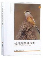 (image for) Wetland Birds in Hangzhou Bay