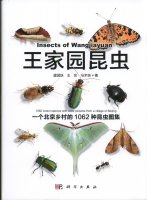 (image for) Insects of Wangjiayuan-1062 insect species with color pictures from a village of Beijing