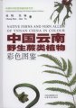 (image for) Native Ferns and Fern Allies of Yunnan China in Colour