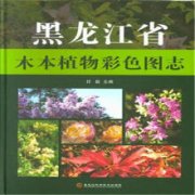 (image for) Atlas of woody plants in Heilongjiang Province