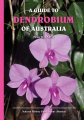 (image for) A Guide to Dendrobium of Australia