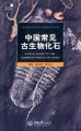 (image for) A Field Guide to Common Fossils of China