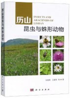 (image for) Insects and Arachnids of Lishan