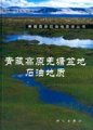 (image for) Petroluem Geology of Qiangtang Basin in Qinghai-Xizang Plateau -Series of Petroleum Geology in Qinghai-Xizang Plateau (Qingzang Gaoyuan Qiangtang Pendi Shiyou Dizhi)