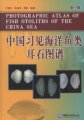 (image for) Photographic Atlas of Fish Otoliths of the China Sea （1）