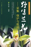 (image for) Wild orchids: collection protection and cultivation(YE SHENG LAN HUA: CAI JI BAO HU YU ZAI PEI)